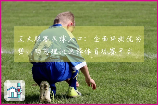 五大联赛买球入口：全面评测优劣势，助您理性选择体育观赛平台