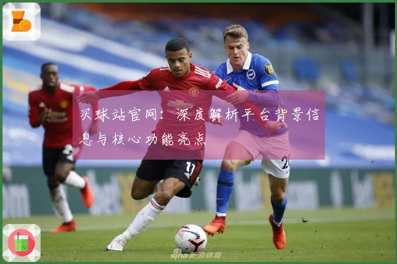买球站官网:深度解析平台背景信息与核心功能亮点