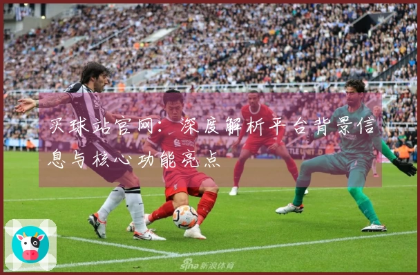 买球站官网：深度解析平台背景信息与核心功能亮点