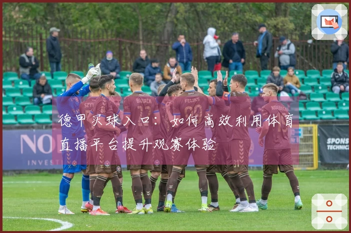 德甲买球入口：如何高效利用体育直播平台提升观赛体验